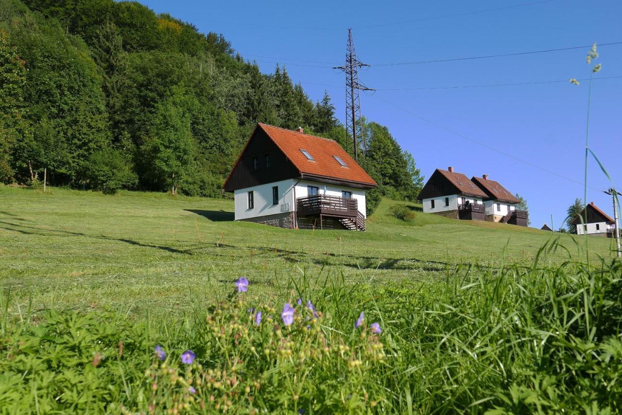 Green Valley Park Villa Starkov  Exterior photo